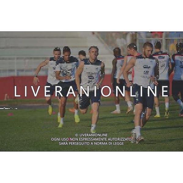 Mickael LANDREAU - 13.06.2014 - Entrainement - France - Coupe du Monde 2014 Photo : Dave Winter / Icon Sport AG ALDO LIVERANI SAS ONLY ITALY