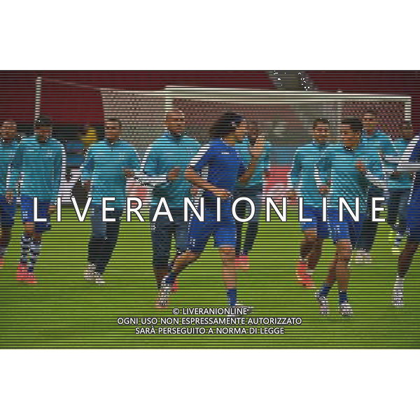 Groupe Honduras - 14.06.2014 - Entrainement Honduras - Coupe du Monde 2014 - Photo : Dave Winter / Icon Sport AG ALDO LIVERANI SAS ONLY ITALY