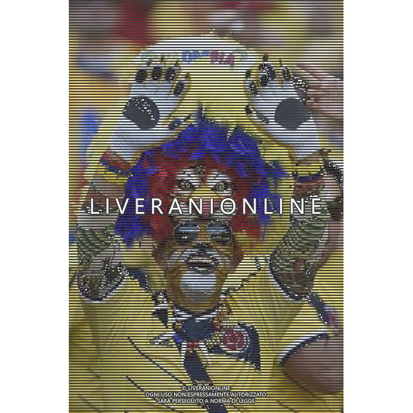 (140614) -- BELO HORIZONTE, June 14, 2014 () -- A Colombia\'s fan is seen before a Group C match between Colombia and Greece of 2014 FIFA World Cup at the Estadio Mineirao Stadium in Belo Horizonte, Brazil, June 14, 2014. (/Qi Heng)(rh) ©PHOTOSHOT/Agenzia Aldo Liverani sas - ITALY ONLY - EDITORIAL USE ONLY - Colombia Vs Grecia partita del Gruppo C Coppa del Mondo FIFA 2014 Mineirao stadio Estadio a Belo Horizonte, in Brasile 14 Giugno 2014
