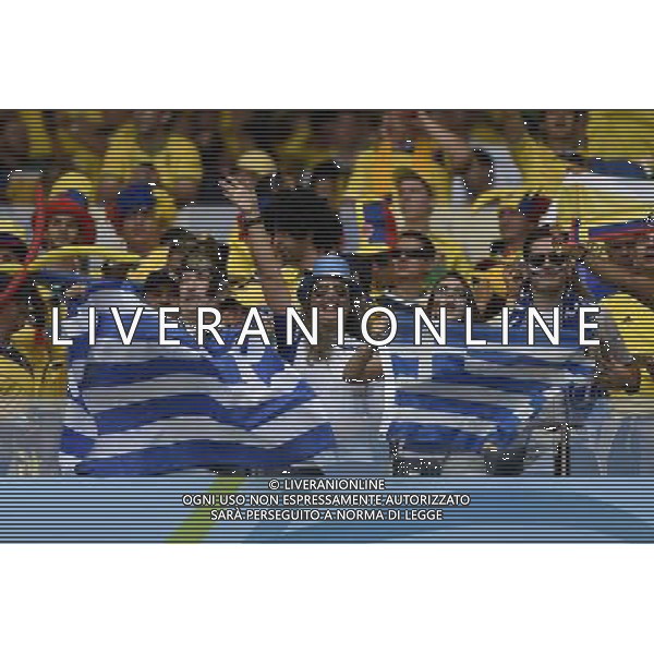 (140614) -- BELO HORIZONTE, June 14, 2014 () -- Greece\'s fans are seen before a Group C match between Colombia and Greece of 2014 FIFA World Cup at the Estadio Mineirao Stadium in Belo Horizonte, Brazil, June 14, 2014. (/Qi Heng)(rh) ©PHOTOSHOT/Agenzia Aldo Liverani sas - ITALY ONLY - EDITORIAL USE ONLY - Colombia Vs Grecia partita del Gruppo C Coppa del Mondo FIFA 2014 Mineirao stadio Estadio a Belo Horizonte, in Brasile 14 Giugno 2014