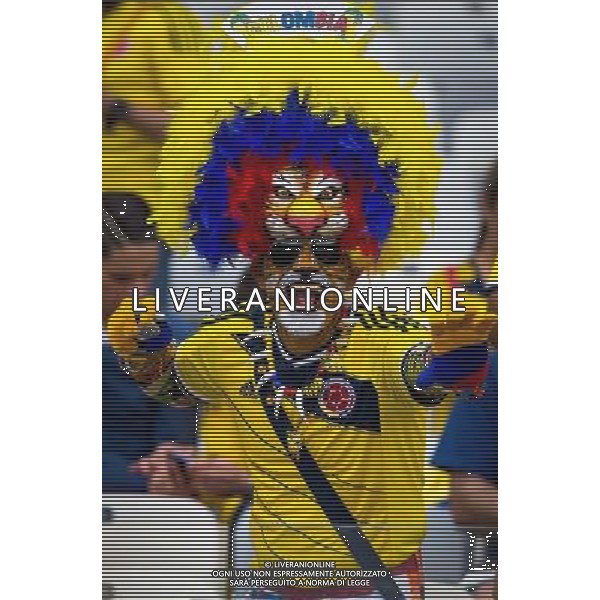 (140614) -- BELO HORIZONTE, June 14, 2014 () ®C A Colombia\'s fan poses before a Group C match between Colombia and Greece of 2014 FIFA World Cup at the Estadio Mineirao Stadium in Belo Horizonte, Brazil, June 14, 2014. (/Liu Bin)(pcy) ©PHOTOSHOT/Agenzia Aldo Liverani sas - ITALY ONLY - EDITORIAL USE ONLY - Colombia Vs Grecia partita del Gruppo C Coppa del Mondo FIFA 2014 Mineirao stadio Estadio a Belo Horizonte, in Brasile 14 Giugno 2014