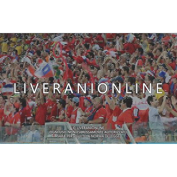 (140613) -- CUIABA, June 13, 2014 () -- Fans of chile cheer for a goal while watching a Group B match between Chile and Australia of 2014 FIFA World Cup in the Arena Pantanal Stadium in Cuiaba, Brazil, June 13, 2014. (/Liu Dawei)(rh) ©PHOTOSHOT/Agenzia Aldo Liverani sas - ITALY ONLY - EDITORIAL USE ONLY - Cile Vs Australia partita del Gruppo B Coppa del mondo FIFA World Cup nel Pantanal stadio Arena di Cuiaba, Brasile, 13 giugno 2014