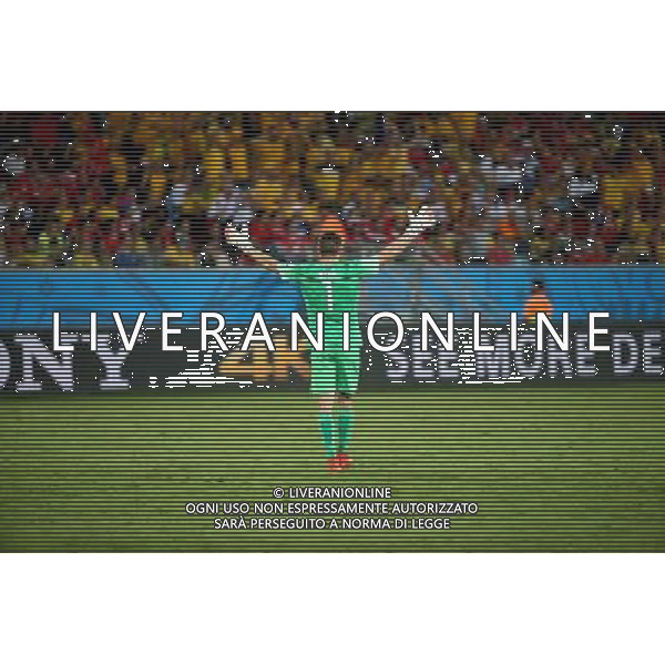 (140613) -- CUIABA, June 13, 2014 () -- Australia\'s Mat Ryan gestures to the audience during a Group B match between Chile and Australia of 2014 FIFA World Cup in the Arena Pantanal Stadium in Cuiaba, Brazil, June 13, 2014. Chile won 3-1 over Australia on Friday. (/Li Ming)(rh) ©PHOTOSHOT/Agenzia Aldo Liverani sas - ITALY ONLY - EDITORIAL USE ONLY - Cile Vs Australia partita del Gruppo B Coppa del mondo FIFA World Cup nel Pantanal stadio Arena di Cuiaba, Brasile, 13 giugno 2014