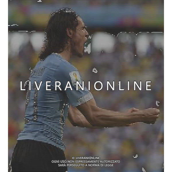 (140614) -- FORTALEZA, June 14, 2014 () -- Uruguay\'s Edinson Cavani celebrates for his goal of a penalty kick during a Group D match between Uruguay and Costa Rica of 2014 FIFA World Cup at the Estadio Castelao Stadium in Fortaleza, Brazil, June 14, 2014. (/Lui Siu Wai)(pcy) ©PHOTOSHOT/Agenzia Aldo Liverani sas - ITALY ONLY - EDITORIAL USE ONLY - Uruguay vs Costa Rica partita del Gruppo D della Coppa del mondo FIFA 2014 Castelao stadio Estadio a Fortaleza, in Brasile, 14 Giugno 2014