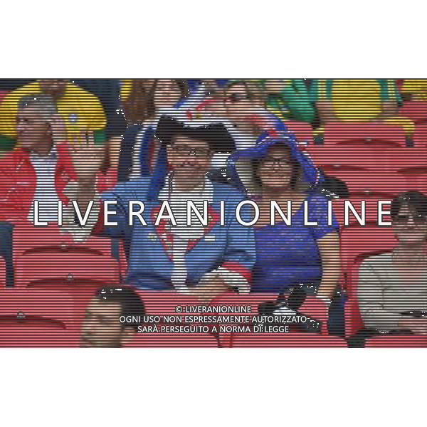 Supporters de France - 15.06.2014 - France / Honduras - Coupe du Monde 2014 - Photo : Dave Winter / Icon Sport AG ALDO LIVERANI SAS ONLY ITALY