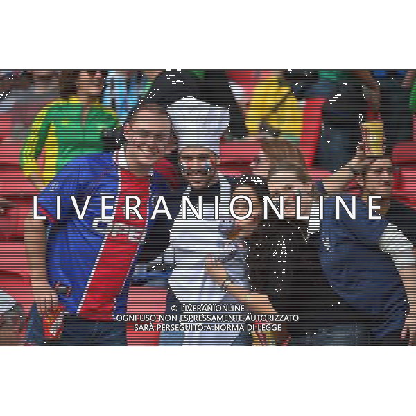 Supporters de France - 15.06.2014 - France / Honduras - Coupe du Monde 2014 - Photo : Dave Winter / Icon Sport AG ALDO LIVERANI SAS ONLY ITALY