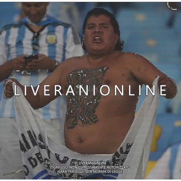 FIFA World Cup Brasile 2014 Gruppo F Rio de Janeiro - 15.06.2014 Argentina-Bosnia Herzegovina Nella Foto:tifosi argentina /Ph.Vitez-Ag. Aldo Liverani