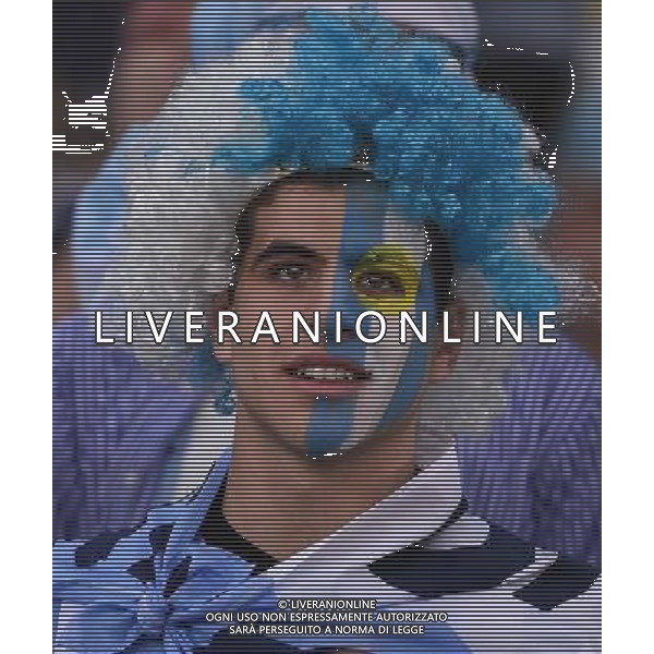 FIFA World Cup Brasile 2014 Gruppo F Rio de Janeiro - 15.06.2014 Argentina-Bosnia Herzegovina Nella Foto:tifosi argentina /Ph.Vitez-Ag. Aldo Liverani