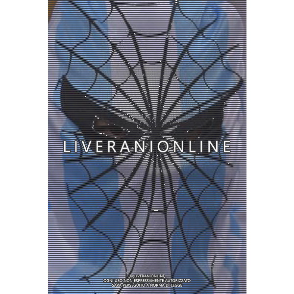FIFA World Cup Brasile 2014 Gruppo F Rio de Janeiro - 15.06.2014 Argentina-Bosnia Herzegovina Nella Foto:tifosi argentina /Ph.Vitez-Ag. Aldo Liverani