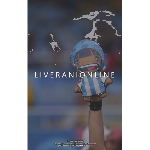 FIFA World Cup Brasile 2014 Gruppo F Rio de Janeiro - 15.06.2014 Argentina-Bosnia Herzegovina Nella Foto:tifosi argentina /Ph.Vitez-Ag. Aldo Liverani