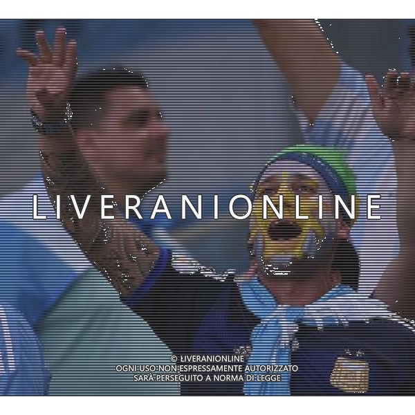 FIFA World Cup Brasile 2014 Gruppo F Rio de Janeiro - 15.06.2014 Argentina-Bosnia Herzegovina Nella Foto:tifosi argentina /Ph.Vitez-Ag. Aldo Liverani