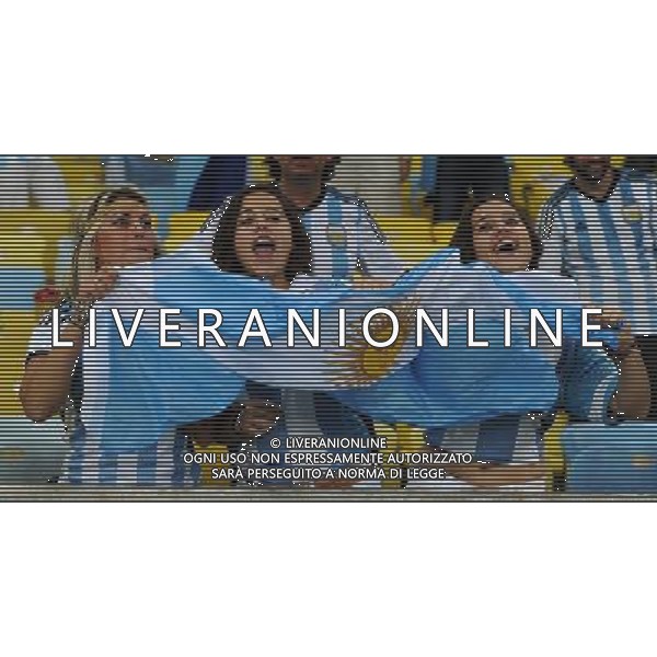 FIFA World Cup Brasile 2014 Gruppo F Rio de Janeiro - 15.06.2014 Argentina-Bosnia Herzegovina Nella Foto:tifosi argentina /Ph.Vitez-Ag. Aldo Liverani