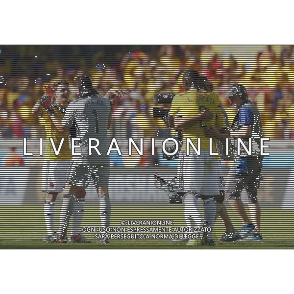 (140614) -- BELO HORIZONTE, June 14, 2014 () -- Colombia\'s players celebrate after a Group C match between Colombia and Greece of 2014 FIFA World Cup at the Estadio Mineirao Stadium in Belo Horizonte, Brazil, June 14, 2014. Colombia won 3-0 over Greece on Saturday. (/Liu Bin)(pcy) ©PHOTOSHOT/Agenzia Aldo Liverani sas - ITALY ONLY - EDITORIAL USE ONLY - Colombia Vs Grecia partita del Gruppo C Coppa del Mondo FIFA 2014 Mineirao stadio Estadio a Belo Horizonte, in Brasile 14 Giugno 2014