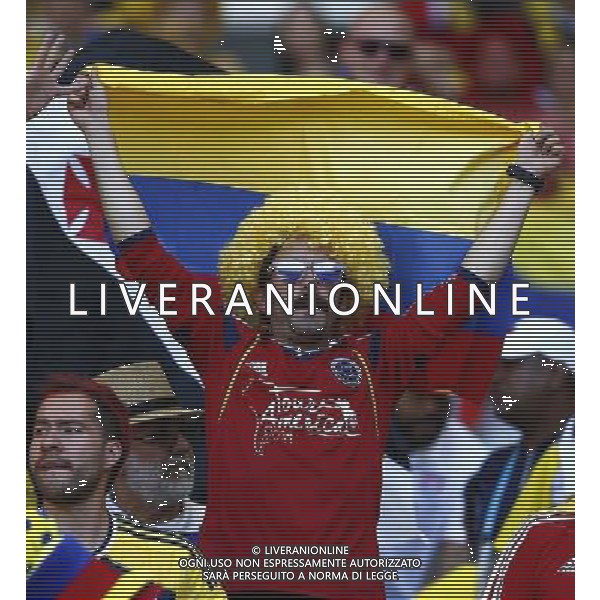 (140614) -- BELO HORIZONTE, June 14, 2014 () -- A Colombia\'s fan waves a Colombia\'s national flag during a Group C match between Colombia and Greece of 2014 FIFA World Cup at the Estadio Mineirao Stadium in Belo Horizonte, Brazil, June 14, 2014. Colombia won 3-0 over Greece on Saturday. (/Liu Bin)(pcy) ©PHOTOSHOT/Agenzia Aldo Liverani sas - ITALY ONLY - EDITORIAL USE ONLY - Colombia Vs Grecia partita del Gruppo C Coppa del Mondo FIFA 2014 Mineirao stadio Estadio a Belo Horizonte, in Brasile 14 Giugno 2014