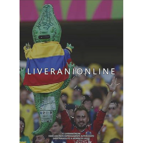 (140614) -- BELO HORIZONTE, June 14, 2014 () -- A Colombia\'s fan holding a toy crocodile with a Colombia\'s national flag cheers during a Group C match between Colombia and Greece of 2014 FIFA World Cup at the Estadio Mineirao Stadium in Belo Horizonte, Brazil, June 14, 2014. Colombia won 3-0 over Greece on Saturday. (/Liu Bin)(pcy) ©PHOTOSHOT/Agenzia Aldo Liverani sas - ITALY ONLY - EDITORIAL USE ONLY - Colombia Vs Grecia partita del Gruppo C Coppa del Mondo FIFA 2014 Mineirao stadio Estadio a Belo Horizonte, in Brasile 14 Giugno 2014