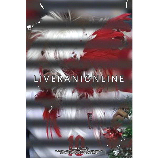 (140614) -- MANAUS, June 14, 2014 () -- An England\'s fan is seen before a Group D match between England and Italy of 2014 FIFA World Cup at the Arena Amazonia Stadium in Manaus, Brazil, June 14, 2014. (/Zhou Lei)(rh) ©PHOTOSHOT/Agenzia Aldo Liverani sas - ITALY ONLY - EDITORIAL USE ONLY - Italia - Inghilterra partita del Gruppo D coppa del mondo 2014 FIFA World Cup Stadio all\'Arena Amazzonia a Manaus, Brasile, 14 giugno 2014