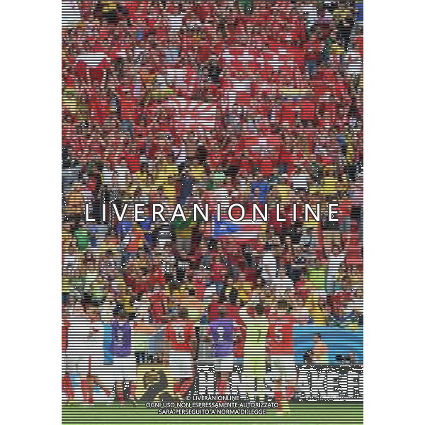 (140615) -- BRASILIA, June 15, 2014 () -- Switzerland\'s players salute to fans after a Group E match between Switzerland and Ecuador of 2014 FIFA World Cup at the Estadio Nacional Stadium in Brasilia, capital of Brazil, June 15, 2014. Switzerland won 2-1 over Ecuador on Sunday.(/Liu Dawei)(pcy) ©PHOTOSHOT/Agenzia Aldo Liverani sas - ITALY ONLY - EDITORIAL USE ONLY - SVIZZERA VS ECUADOR partita del Gruppo E Coppa del mondo Fifa allo Stadio nazionale di Brasilia, Brasile, 15 giugno 2014. Svizzera ha vinto per 2-1