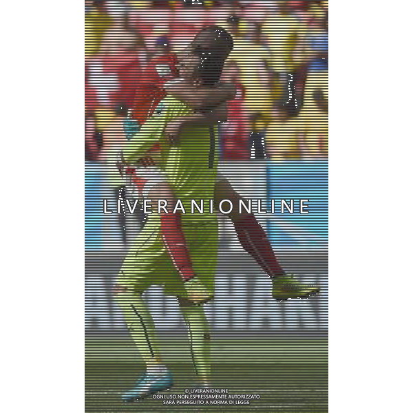 (140615) -- BRASILIA, June 15, 2014 () -- Switzerland\'s Granit Xhaka (L) embraces with goalkeeper Diego Benaglio as a way of celebrating for the victory after a Group E match between Switzerland and Ecuador of 2014 FIFA World Cup at the Estadio Nacional Stadium in Brasilia, capital of Brazil, June 15, 2014. Switzerland won 2-1 over Ecuador on Sunday.(/Liu Dawei)(pcy) ©PHOTOSHOT/Agenzia Aldo Liverani sas - ITALY ONLY - EDITORIAL USE ONLY - SVIZZERA VS ECUADOR partita del Gruppo E Coppa del mondo Fifa allo Stadio nazionale di Brasilia, Brasile, 15 giugno 2014. Svizzera ha vinto per 2-1