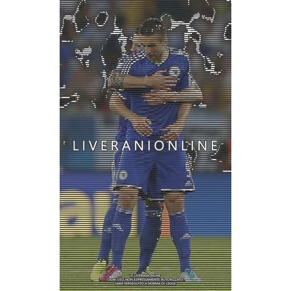 (140615) -- RIO DE JANEIRO, June 15, 2014 () -- Bosnia and Herzegovina\'s Vedad Ibisevic (front) celebrates for the goal during a Group F match between Argentina and Bosnia and Herzegovina of 2014 FIFA World Cup at the Estadio de Maracana Stadium in Rio de Janeiro, Brazil, June 15, 2014. (/Wang Lili) ©photoshot/Agenzia Aldo Liverani sas - ITALY ONLY - Argentina - Bosnia Erzegovina partita del Gruppo F Coppa del Mondo 2014 FIFA World Cup allo Stadio Maracana\' Stadium di Rio de Janeiro, in Brasile, 15 giugno 2014