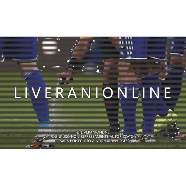 FIFA World Cup Brasile 2014 Gruppo F Rio de Janeiro - 15.06.2014 Argentina-Bosnia Herzegovina Nella Foto:L\'arbitro segna la distanza della barriera con lo spray /Ph.Vitez-Ag. Aldo Liverani