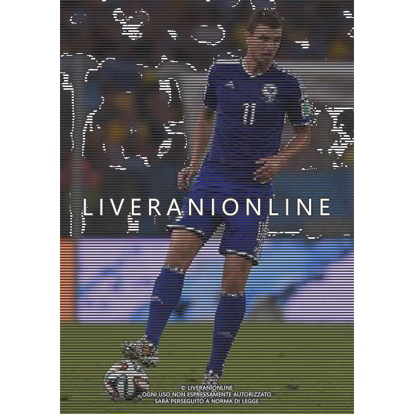 FIFA World Cup Brasile 2014 Gruppo F Rio de Janeiro - 15.06.2014 Argentina-Bosnia Herzegovina Nella Foto:Dzeko Edin /Ph.Vitez-Ag. Aldo Liverani