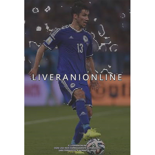 FIFA World Cup Brasile 2014 Gruppo F Rio de Janeiro - 15.06.2014 Argentina-Bosnia Herzegovina Nella Foto:Mujdza Mensur /Ph.Vitez-Ag. Aldo Liverani