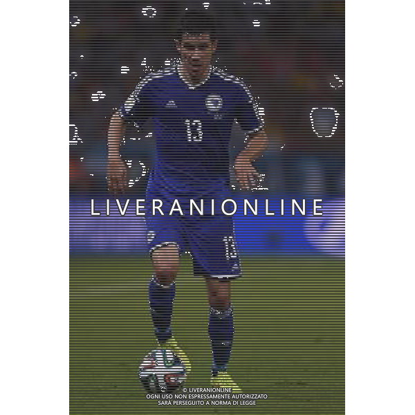 FIFA World Cup Brasile 2014 Gruppo F Rio de Janeiro - 15.06.2014 Argentina-Bosnia Herzegovina Nella Foto:Mujdza Mensur /Ph.Vitez-Ag. Aldo Liverani