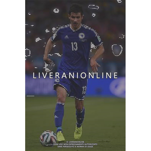 FIFA World Cup Brasile 2014 Gruppo F Rio de Janeiro - 15.06.2014 Argentina-Bosnia Herzegovina Nella Foto:Mujdza Mensur /Ph.Vitez-Ag. Aldo Liverani