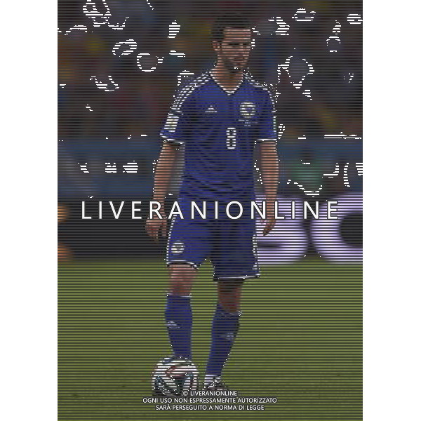 FIFA World Cup Brasile 2014 Gruppo F Rio de Janeiro - 15.06.2014 Argentina-Bosnia Herzegovina Nella Foto:Pjanic Miralem /Ph.Vitez-Ag. Aldo Liverani