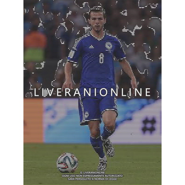 FIFA World Cup Brasile 2014 Gruppo F Rio de Janeiro - 15.06.2014 Argentina-Bosnia Herzegovina Nella Foto:Pjanic Miralem /Ph.Vitez-Ag. Aldo Liverani