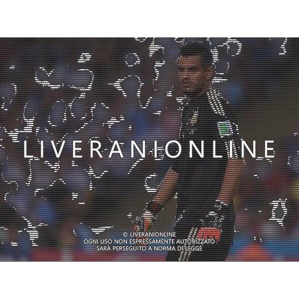 FIFA World Cup Brasile 2014 Gruppo F Rio de Janeiro - 15.06.2014 Argentina-Bosnia Herzegovina Nella Foto:Romero Sergio /Ph.Vitez-Ag. Aldo Liverani