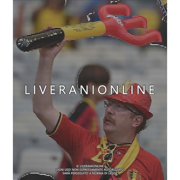 FIFA World Cup Brasile 2014 Gruppo H Belo Horizonte - 17.06.2014 Belgio-Algeria Nella Foto:tifosi /Ph.Vitez-Ag. Aldo Liverani