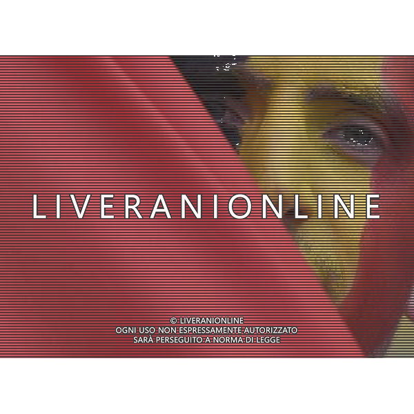 FIFA World Cup Brasile 2014 Gruppo H Belo Horizonte - 17.06.2014 Belgio-Algeria Nella Foto:tifosi /Ph.Vitez-Ag. Aldo Liverani