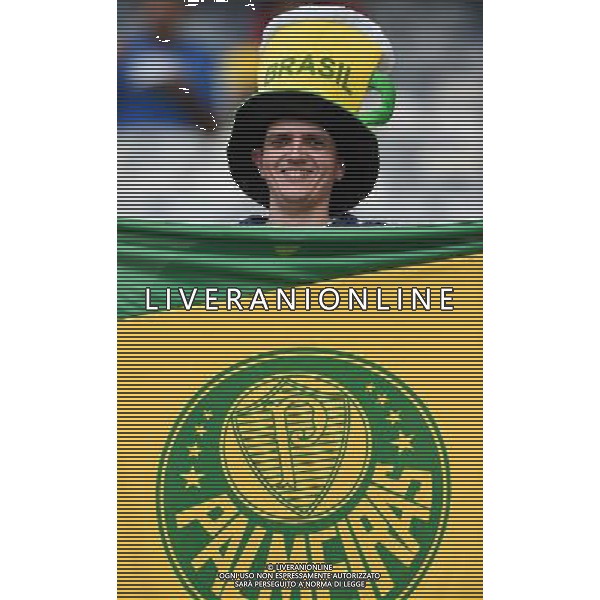 FIFA World Cup Brasile 2014 Gruppo H Belo Horizonte - 17.06.2014 Belgio-Algeria Nella Foto:tifosi /Ph.Vitez-Ag. Aldo Liverani