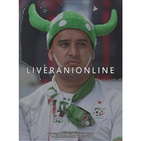 FIFA World Cup Brasile 2014 Gruppo H Belo Horizonte - 17.06.2014 Belgio-Algeria Nella Foto:tifosi /Ph.Vitez-Ag. Aldo Liverani