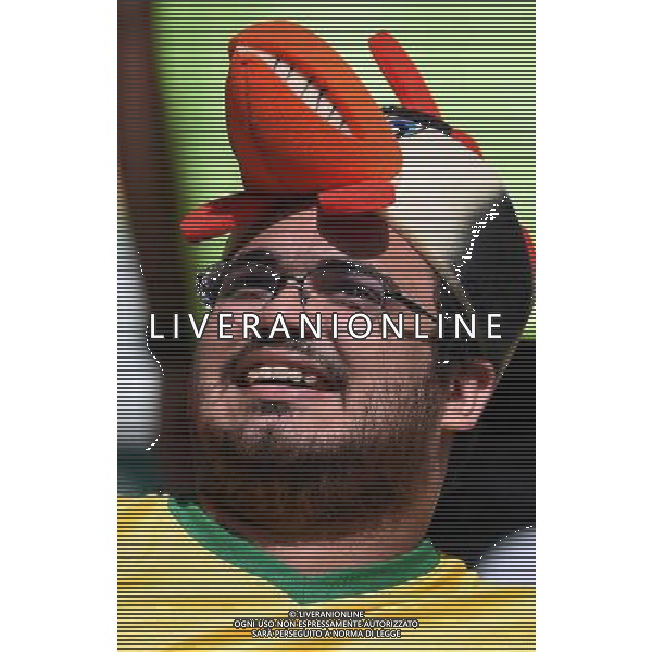 FIFA World Cup Brasile 2014 Gruppo H Belo Horizonte - 17.06.2014 Belgio-Algeria Nella Foto:tifosi /Ph.Vitez-Ag. Aldo Liverani