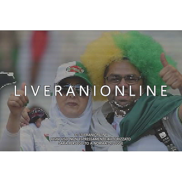 FIFA World Cup Brasile 2014 Gruppo H Belo Horizonte - 17.06.2014 Belgio-Algeria Nella Foto:tifosi /Ph.Vitez-Ag. Aldo Liverani