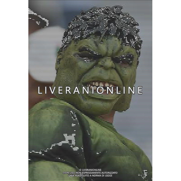 FIFA World Cup Brasile 2014 Gruppo H Belo Horizonte - 17.06.2014 Belgio-Algeria Nella Foto:tifosi /Ph.Vitez-Ag. Aldo Liverani