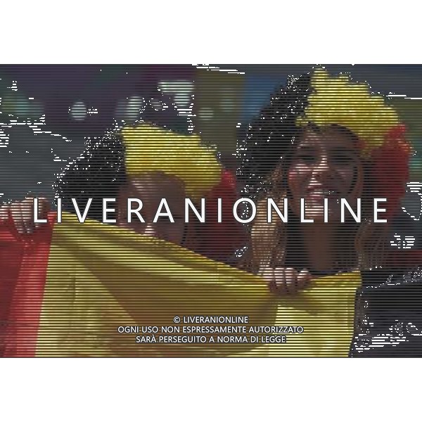 FIFA World Cup Brasile 2014 Gruppo H Belo Horizonte - 17.06.2014 Belgio-Algeria Nella Foto:tifosi /Ph.Vitez-Ag. Aldo Liverani