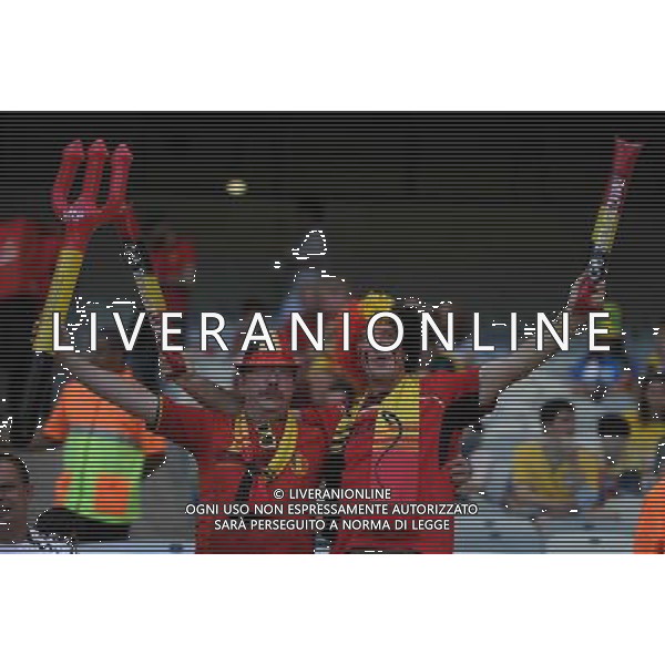 FIFA World Cup Brasile 2014 Gruppo H Belo Horizonte - 17.06.2014 Belgio-Algeria Nella Foto:tifosi /Ph.Vitez-Ag. Aldo Liverani