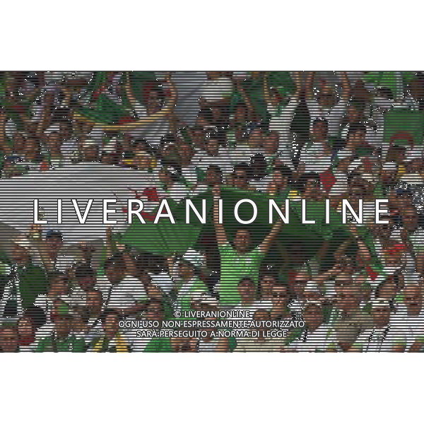 FIFA World Cup Brasile 2014 Gruppo H Belo Horizonte - 17.06.2014 Belgio-Algeria Nella Foto:tifosi algeria /Ph.Vitez-Ag. Aldo Liverani