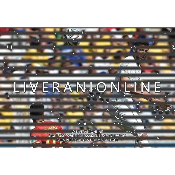 FIFA World Cup Brasile 2014 Gruppo H Belo Horizonte - 17.06.2014 Belgio-Algeria Nella Foto:halliche /Ph.Vitez-Ag. Aldo Liverani