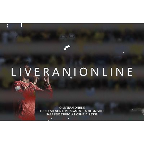 FIFA World Cup Brasile 2014 Gruppo H Belo Horizonte - 17.06.2014 Belgio-Algeria Nella Foto:fellaini esulta /Ph.Vitez-Ag. Aldo Liverani