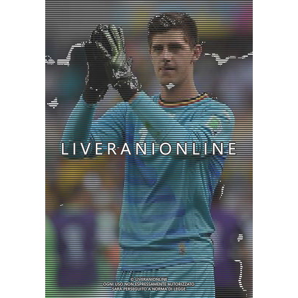 FIFA World Cup Brasile 2014 Gruppo H Belo Horizonte - 17.06.2014 Belgio-Algeria Nella Foto:courtois /Ph.Vitez-Ag. Aldo Liverani