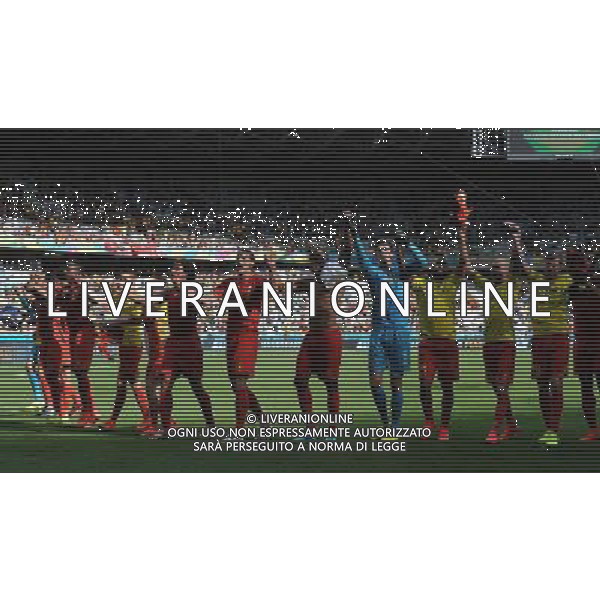 FIFA World Cup Brasile 2014 Gruppo H Belo Horizonte - 17.06.2014 Belgio-Algeria Nella Foto:esultanza finale dei giocatori belgi /Ph.Vitez-Ag. Aldo Liverani