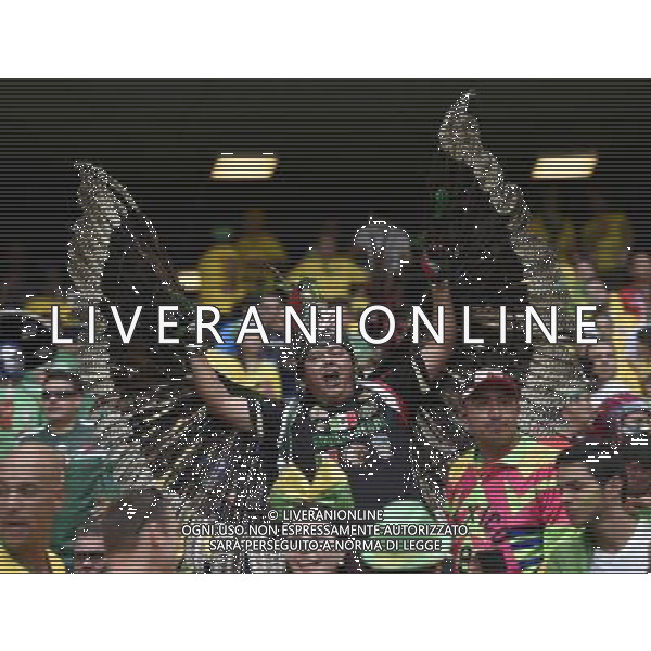 (140617) -- FORTALEZA, June 17, 2014 () -- A fan of team Mexico cheers during a Group A match between Brazil and Mexico of 2014 FIFA World Cup at the Estadio Castelao Stadium in Fortaleza, Brazil, June 17, 2014. The match concluded 0-0. (/Lui Siu Wai)(xzj) AG ALDO LIVERANI SAS ONLY ITALY