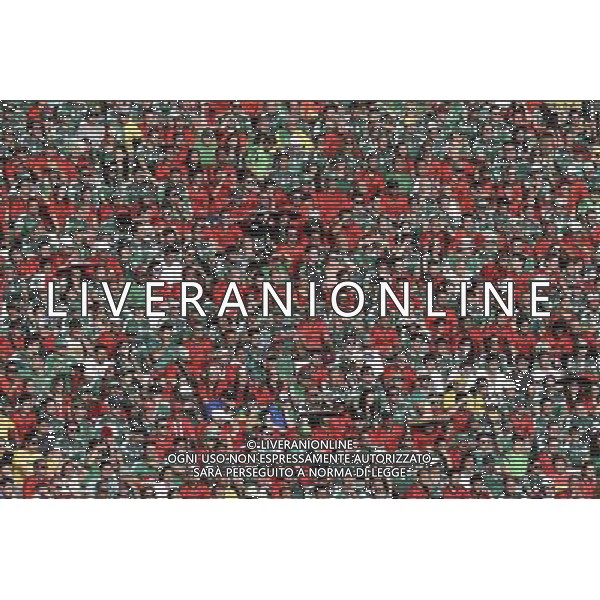 (140617) -- FORTALEZA, June 17, 2014 () -- Mexico\'s fans watch a Group A match between Brazil and Mexico of 2014 FIFA World Cup at the Estadio Castelao Stadium in Fortaleza, Brazil, June 17, 2014.(/Lui Siu Wai)(rh) AG ALDO LIVERANI SAS ONLY ITALY