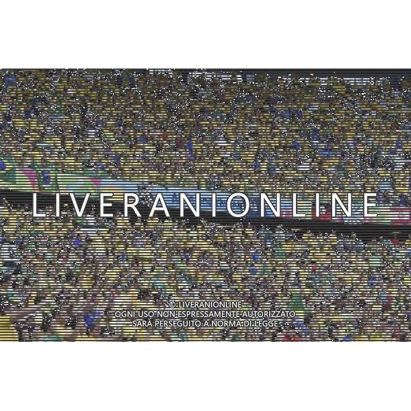 (140617) -- FORTALEZA, June 17, 2014 () -- Fans of team Brazil cheer prior to a Group A match between Brazil and Mexico of 2014 FIFA World Cup at the Estadio Castelao Stadium in Fortaleza, Brazil, June 17, 2014.(/Lui Siu Wai)(xzj) AG ALDO LIVERANI SAS ONLY ITALY