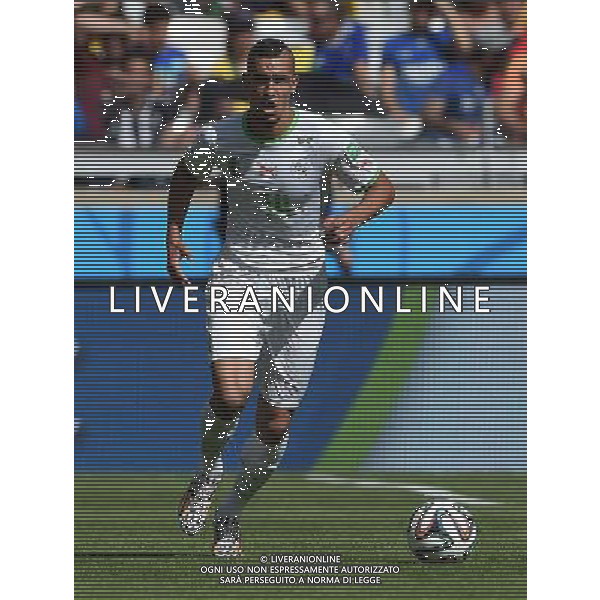 FIFA World Cup Brasile 2014 Gruppo H Belo Horizonte - 17.06.2014 Belgio-Algeria Nella Foto:Bentaleb Nabil /Ph.Vitez-Ag. Aldo Liverani