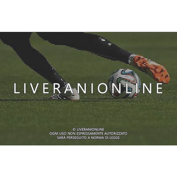 FIFA World Cup Brasile 2014 Gruppo H Belo Horizonte - 17.06.2014 Belgio-Algeria Nella Foto:Calcio particolare /Ph.Vitez-Ag. Aldo Liverani